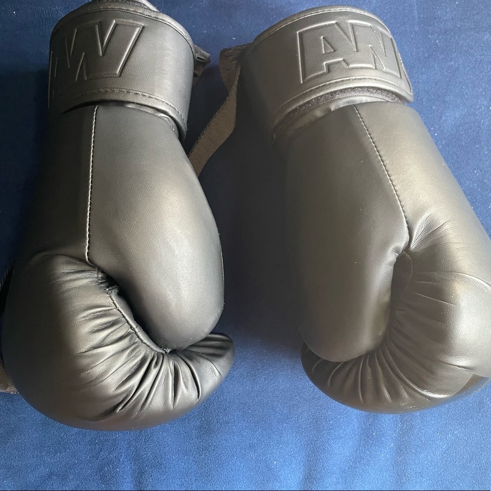 Alexander Wang x H&M Boxing Gloves w/bag